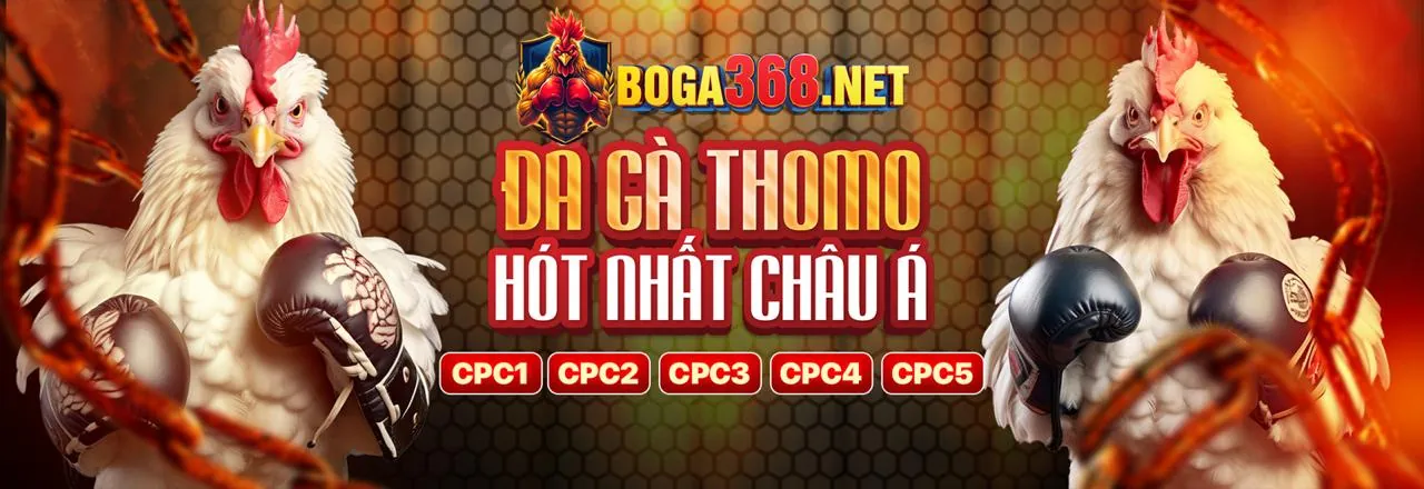 Đá Gà Trực Tuyến Hấp Dẫn tại SC88