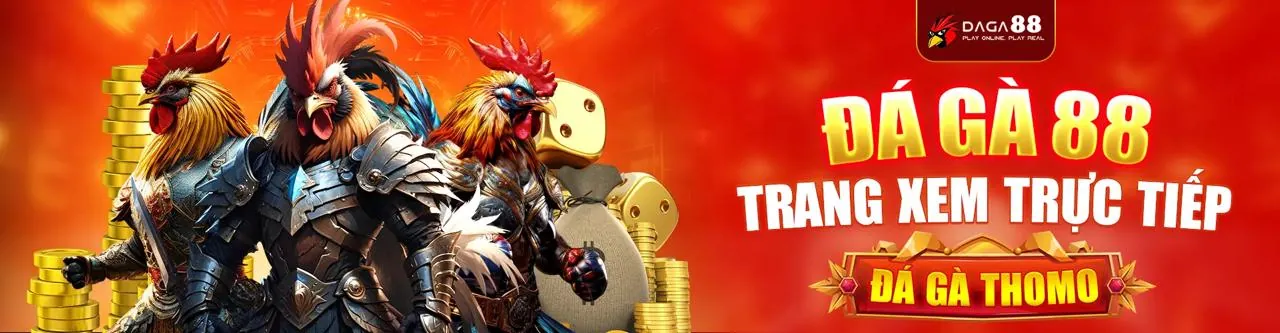 Chương trình hoàn trả casino